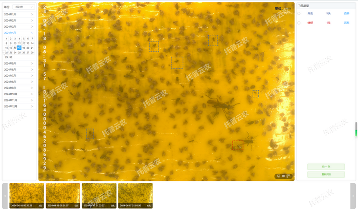 智能識別 自動計數.png