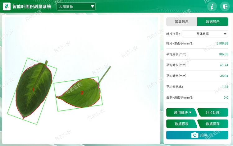 葉片分析 - 副本.jpg