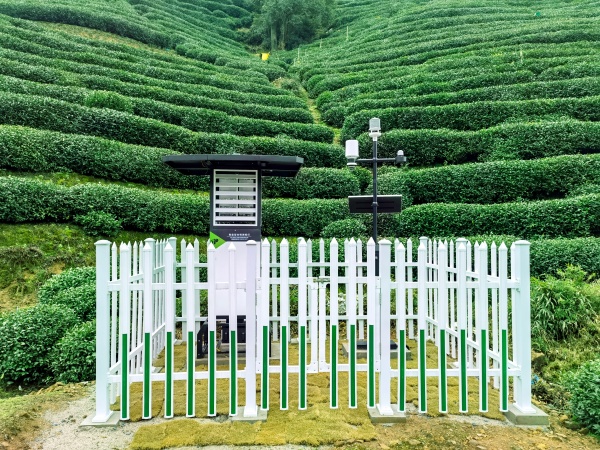 西湖茶園氣象監測(1)_副本.jpg
